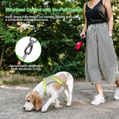 Visinite LED Dog Harness, USB Rechargeable Light Up Dog Vest, 2 Illuminate Modes Glow in The Dark Dog Harness, Adjustable Lighted Pet Harness Light for Night Walking Safety (Green, L)