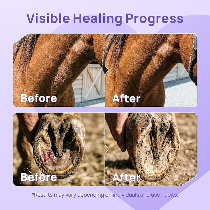 HICC PET Dog Wound Care Hydro Gel, Heals Wounds, Hot Spot Treatment for Dogs, Soothes Inflammation, Prevents Infection, Treats Bites, Scratches & Skin Ulcers, Cat Horse Wound Care Solution, 2 Packs