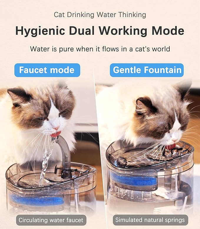 HAPUP Cat Water Fountain Animal Water Dispenser 61OZ/1.8L Automatic Pet Drinking Fountain Clear Upgrade with 2 Filter Replacement 1 Adjustable Silent 1 Water Pump for Cats Kitty Indoor