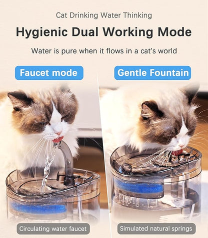 HAPUP Cat Water Fountain Animal Water Dispenser 61OZ/1.8L Automatic Pet Drinking Fountain Clear Upgrade with 2 Filter Replacement 1 Adjustable Silent 1 Water Pump for Cats Kitty Indoor