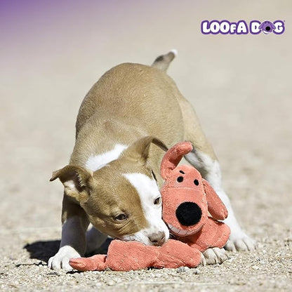 Multipet Original Loofa Dog Plush Toy - Squeaky Toy for All Dogs - Extra Soft Plush - Stuffed Animal Dog Toys for Playing - Cute Dog Pet Toy (1 Count, 12”, Random Color Surprise)