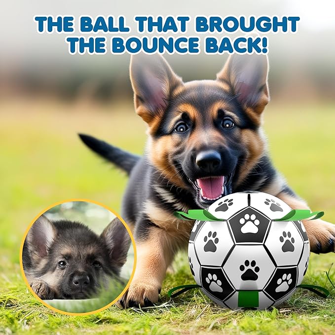 SunGrow Dog Soccer Ball, Interactive Tug-of-War Toy with Straps, Outdoor & Indoor Training, Mental Game and Physical Exercise for High-Energy Dogs, Small and Medium Breeds, 6”, 9.6 oz