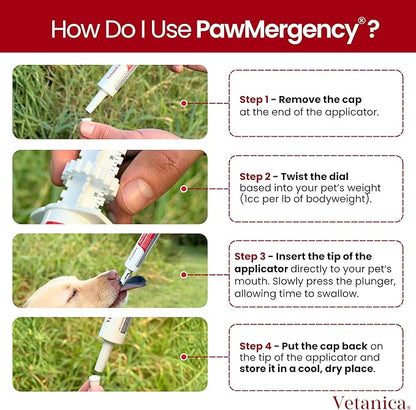 PawMergency – Activated Charcoal First Aid Kit Emergency Rescue 2 Pack for Dogs, Cats, Puppy & Pet Poison Kit, Camping Survival Remedy Essential, Oral Anti Diarrhea Digestive Absorb Toxins