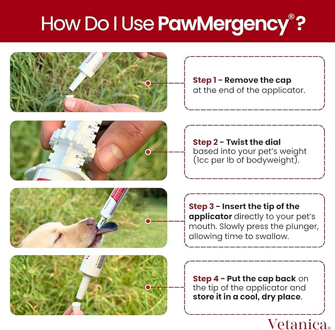 PawMergency – Activated Charcoal First Aid Kit Emergency Rescue for Dogs, Cats, Puppy & Pet Poison Kit, Camping Survival Remedy Essential,Oral Anti Diarrhea Digestive Paste Ready Absorb Toxins