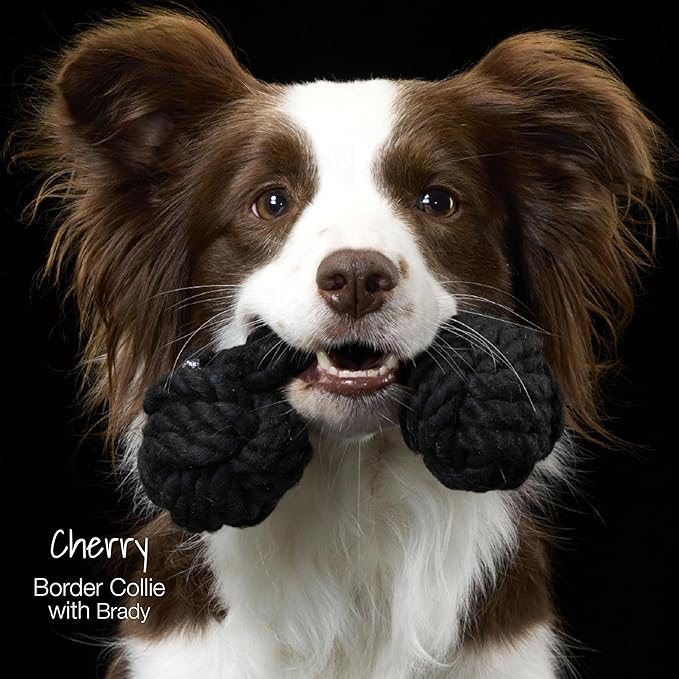 Brady The Rope Tug Toy 3-Pack Organic Cotton Dog Rope Pull Toys for All Pet Breeds, Holiday, One Size