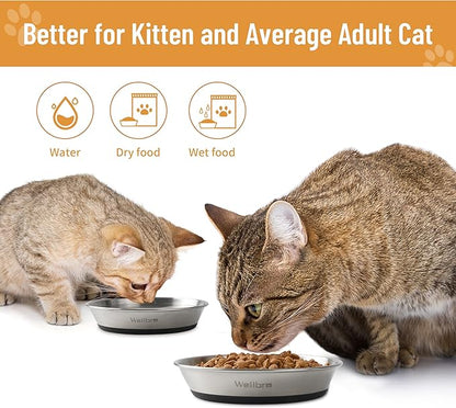 Cat Bowls, 2 Pcs Stainless Steel Cat Bowls for Food and Water, Whisker Fatigue Shallow Non-Slip Dishes Plates for Small Dog Puppies Cats