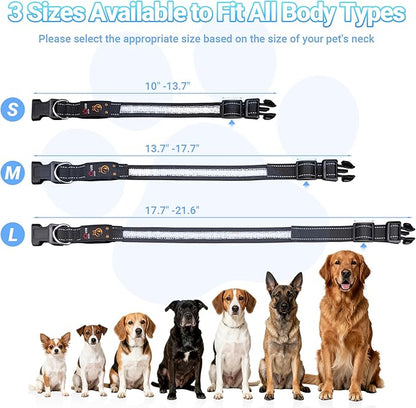 Light Up Dog Collar, USB Rechargeable, Waterproof LED Dog Collar with Remote Control, Adjustable Night Safety Pet LED Collar, Suitable for Small, Medium, and Large Dogs (S)