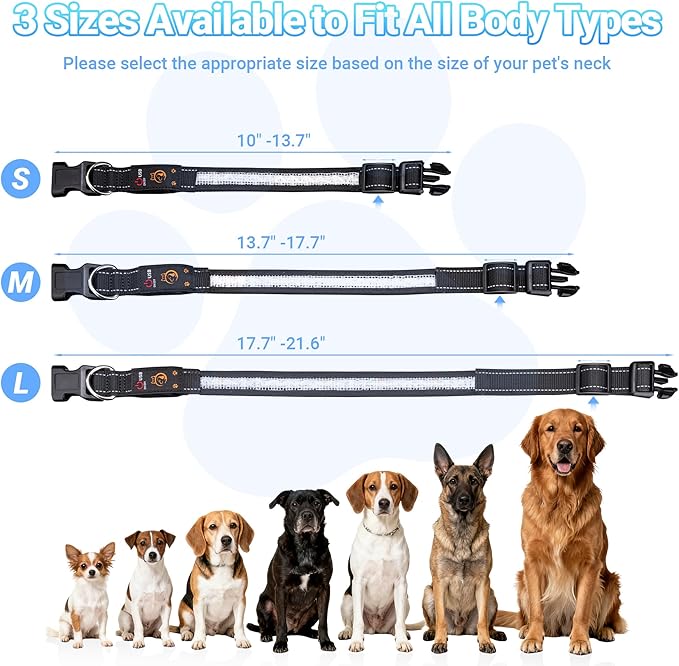 Light Up Dog Collar, USB Rechargeable, Waterproof LED Dog Collar with Remote Control, Adjustable Night Safety Pet LED Collar, Suitable for Small, Medium, and Large Dogs (M)