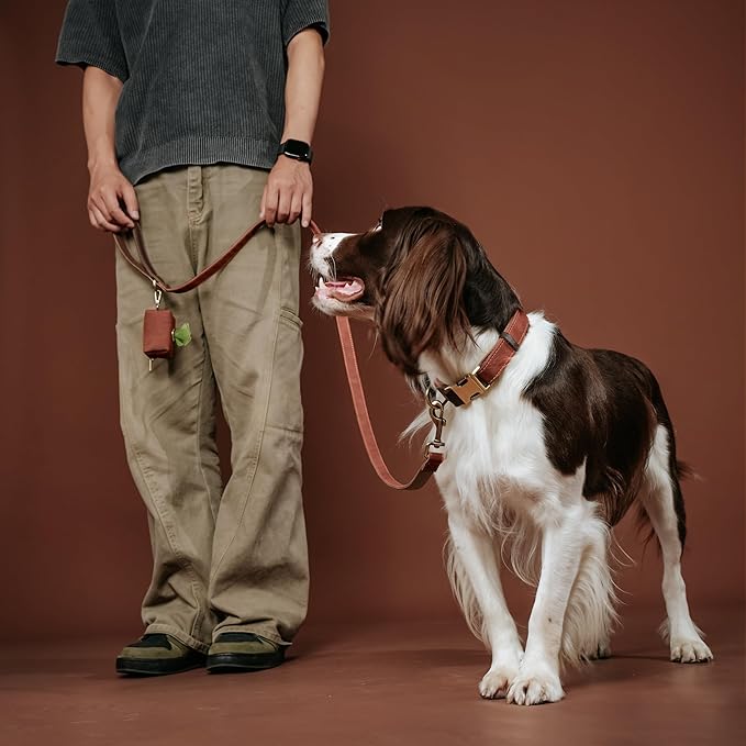 Didog Classic Dog Poop Bag Holder, Easy-Pull and Elegant PU Leather Pet Waste Bag Dispenser for Leash with Carabiner Clip, Includes 1 Roll Dog Waste Bag for Daily Walking,Brown