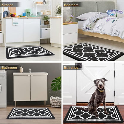 Buganda Indoor Door Mat, Dirt-Resistant and Absorbent Doormat, Anti-Slip, Low Profile Floor Mats for Inside Entryway, Front, and Back Door Entrance (48x32 Inches, Black)