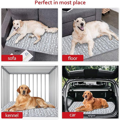Dog Crate Mat (42" X 28") 2 Pack, Soft Dog Bed Mat with Cute Prints, Personalized Crate Pad, Anti-Slip Bottom, Machine Washable Kennel Pad, Grey