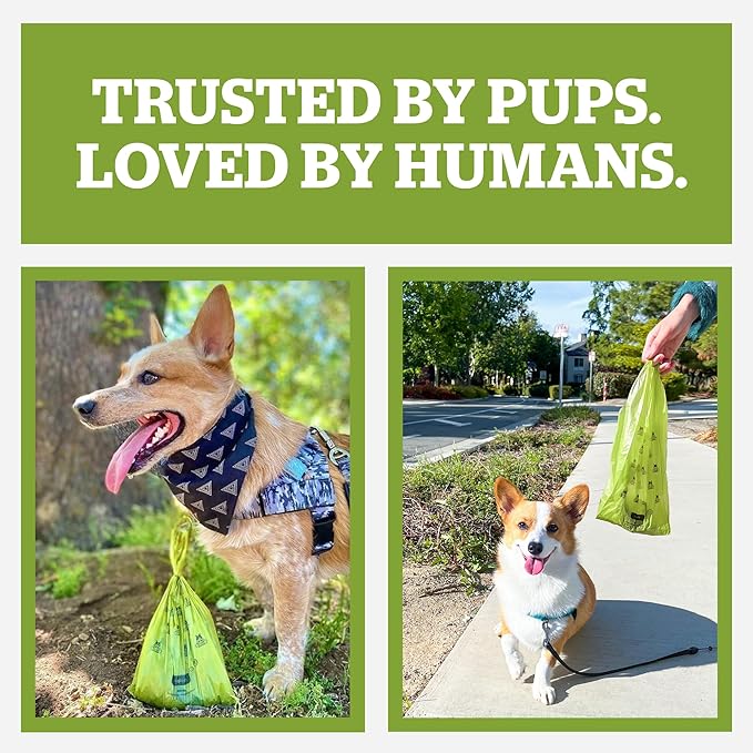 Pogi’s Dog Poop Bags – Leak-Proof & Extra Thick Pet Waste Bags (Fresh Scent, 30 Rolls, 450-Count)