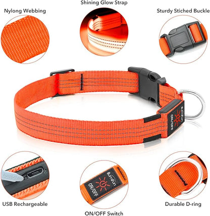 Illumifun LED Dog Collar USB Rechargeable Light Up Dog Collar, Reflective Pet Safety Collar Light Glow in The Dark (OrangeⅢ, Medium)