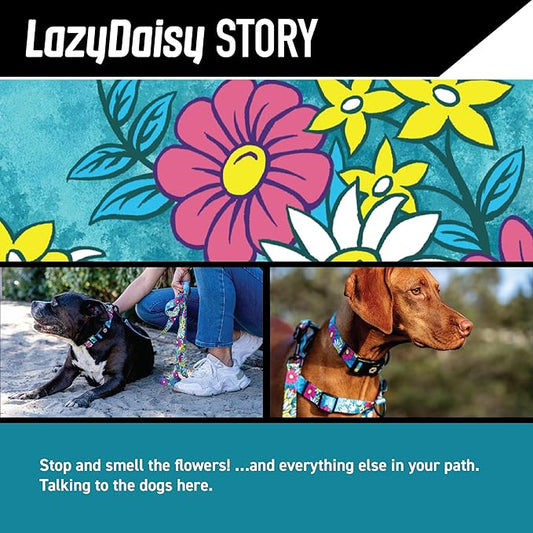 Wolfgang Heavy Duty, Adjustable Dog Collar with Quick Release Nylon Buckle for Walking & Training, LazyDaisy Print, Small