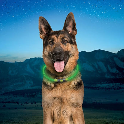 Nite Ize NiteHowl Rechargeable LED Safety Necklace - Dog Light for Dog-Walking Gear - Weather-Resistant Design - 5 Hours Runtime - Cut to Fit from 12” to 27” - Green