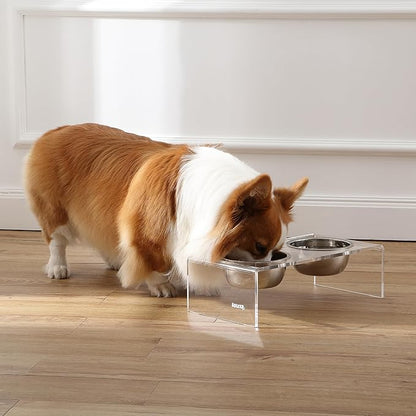 The LICKER Store DBL2000A Keaton 5" Small/Medium Modern Lucite Rectangular Elevated Pet Feeder with 20oz 2-Stainless Steel Bowls, Clear/Chrome