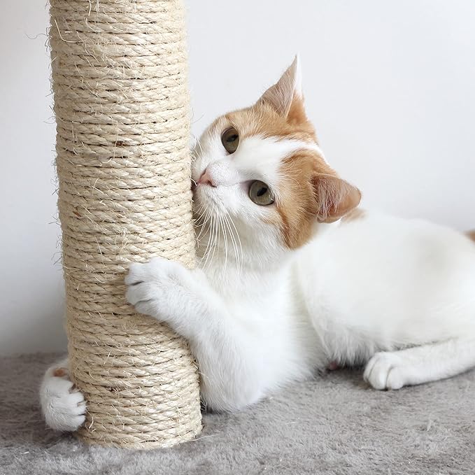 Cat Scratching Post - 3 Scratcher Posts with Carpeted Scratch Pad Base and Perch - Furniture Scratching Deterrent for Indoor Cats by PETMAKER (Gray)