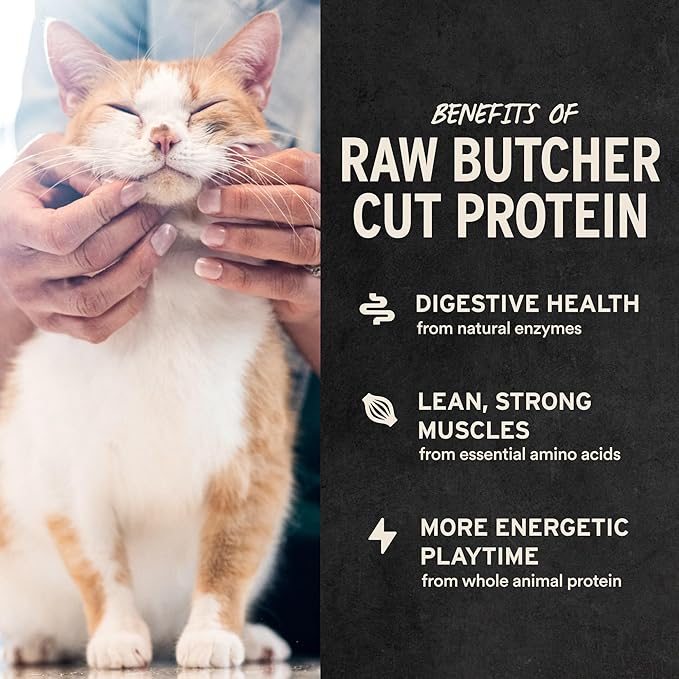 Vital Essentials Freeze Dried Raw Chicken Hearts Cat Treats | Single Ingredient | Premium Quality | Grain Free, Healthy Treats for Cats, 0.8 oz Bag