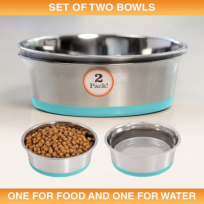Neater Pet Brands Stainless Steel Dog Bowls with Non-Slip Rubber Bottom – 2 Cup (16 oz), Teal - Set of 2 Heavy Duty Metal Dog Bowls, Dishwasher Safe, Food or Water Bowl, Ideal for Small Dogs & Cats