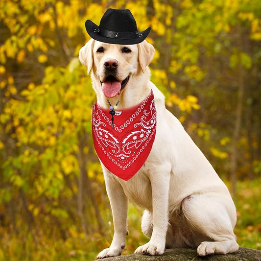 GOYOSWA Dog Halloween Costumes, Dog Cowboy Costume Halloween Pet Cowboy Hat Bandana Scarf for Small Medium Large Dogs Pets (Black Hat & Red Bandana, Large)