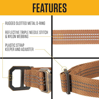 Carhartt Nylon Webbing Dog Collar, Fully Adjustable W/Durable Side Release Buckle, Coral Glow, Large