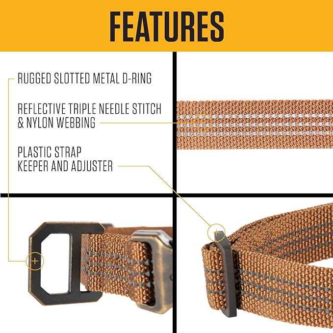 Carhartt Nylon Webbing Dog Collar, Fully Adjustable W/Durable Side Release Buckle, Shaded Spruce, Large