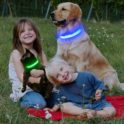LED Dog Collar, Reflective Glow Collar for Night Safety, USB Rechargeable, Waterproof, Adjustable Flashing (Green, Small)