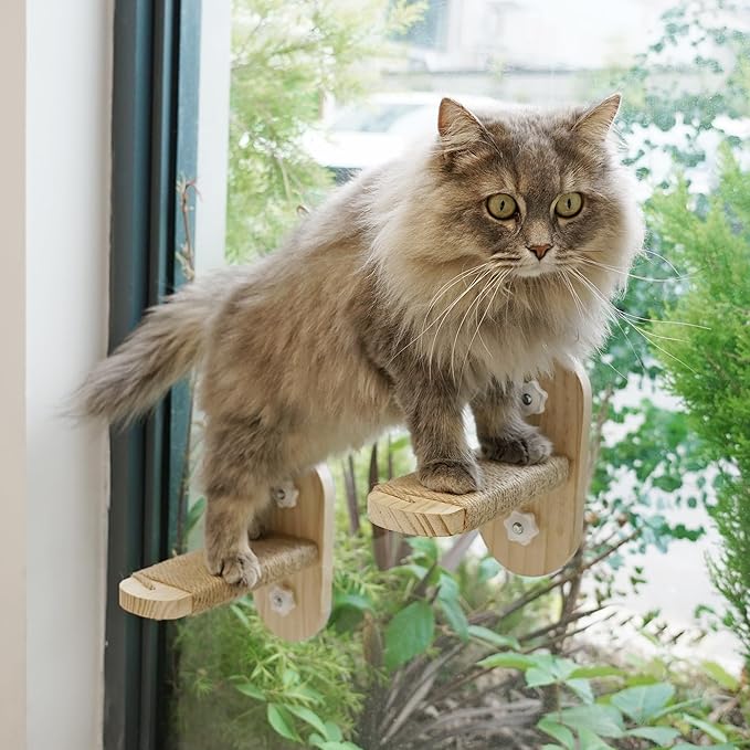 PETKARAY Cat Window Shelf, Original Cat Window Perch Stairs, Durable Kitty Seat for Window Sill, Sturdy Window Step for Indoor Cats