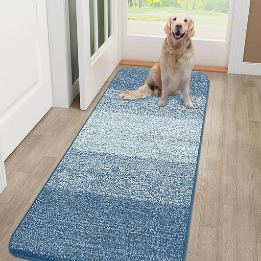Smiry Dog Door Mat for Muddy Paws, Absorbs Moisture and Dirt, Low-Profile Entryway Mat with Non-Slip Backing, Entry Indoor Outdoor Doormat for Inside Floor (48x30 Inches, Light Blue, Striped)