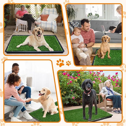 LOOBANI Large Dog Grass Pad with Tray - 35x23in Dog Litter Box with 2-Pack Replacement Artificial Grass Puppy Training Pads - Potty Tray for Balcony Apartment Indoor Outdoor Use
