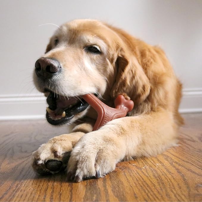 Nylabone Wishbone Strong Chew Toy for Dogs Made with Real Bacon, Durable Dog Chew Bones for Aggressive Chewers, Long-Lasting Flavor Keeps Dogs Busy, Large Dog Toys - Up to 50 lbs, 1 Count