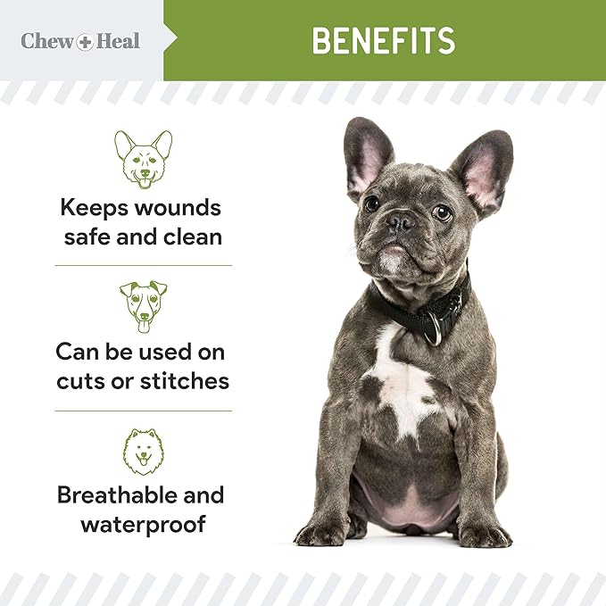 Chew + Heal Labs Liquid Bandage for Dogs 4oz Waterproof Spray Wound Care with Aloe for Cuts, Scrapes, Stitches, Paw Injuries - Breathable, Safe if Licked