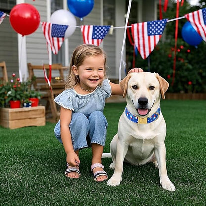 4th of July Dog Collar, Blue Flag Popsicle Patriotic Pet Collar with Metal Buckel, Adjustable Summer Holiday Dog Collars for Small Medium Large Dogs L