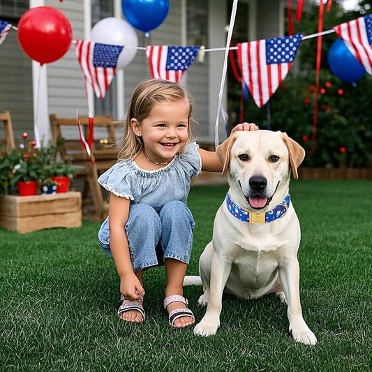4th of July Dog Collar, Blue Flag Popsicle Patriotic Pet Collar with Metal Buckel, Adjustable Summer Holiday Dog Collars for Small Medium Large Dogs M