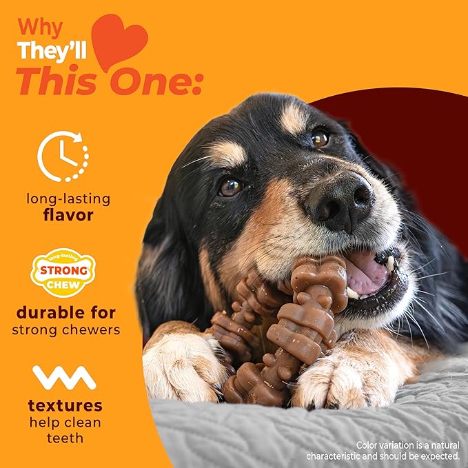 Nylabone Textured Ring Strong Chew Toy for Dogs Made with Real Beef & Chicken, Durable Dog Chew Bones for Aggressive Chewers, Keeps Dogs Busy, X-Large Dog Toys - 50+ lbs, 1 Count