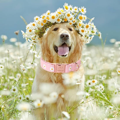 Spring Dog Collar, Cute Pink Daisy Femal Pet Collar with Metal Buckel, Durable Adjustable Designer Dog Collars for Small Medium Large Dogs M