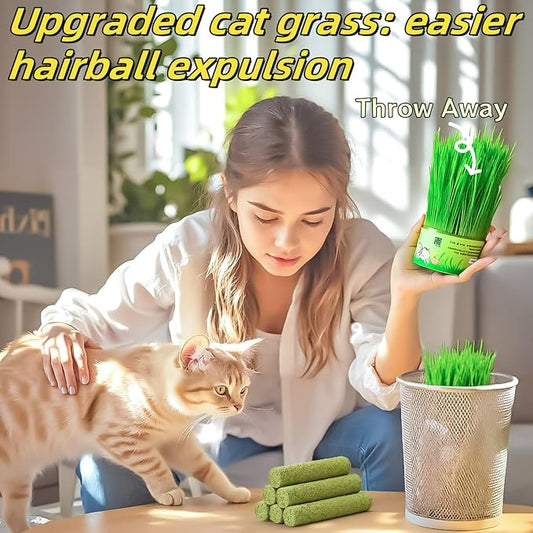 Cat Toys 17Pack 100g Catnip Grass Teething Stick for Hairball Removal Kitten Toy Freeze Dried Chew Dental Food for Indoor Kitty Lickable Edible Snack