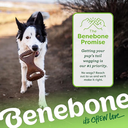 Benebone Dental Durable Dog Chew Toy for Aggressive Chewers, Real Bacon, Made in USA, Small