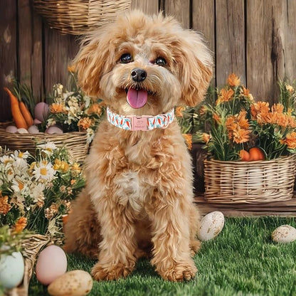 Easter Dog Collar, Cute Carrot Easter Collar for Boy Girl Dogs, Adjustable Heavy Duty Spring Holiday Dog Collars for Small Medium Large Dogs with Metal Buckle M