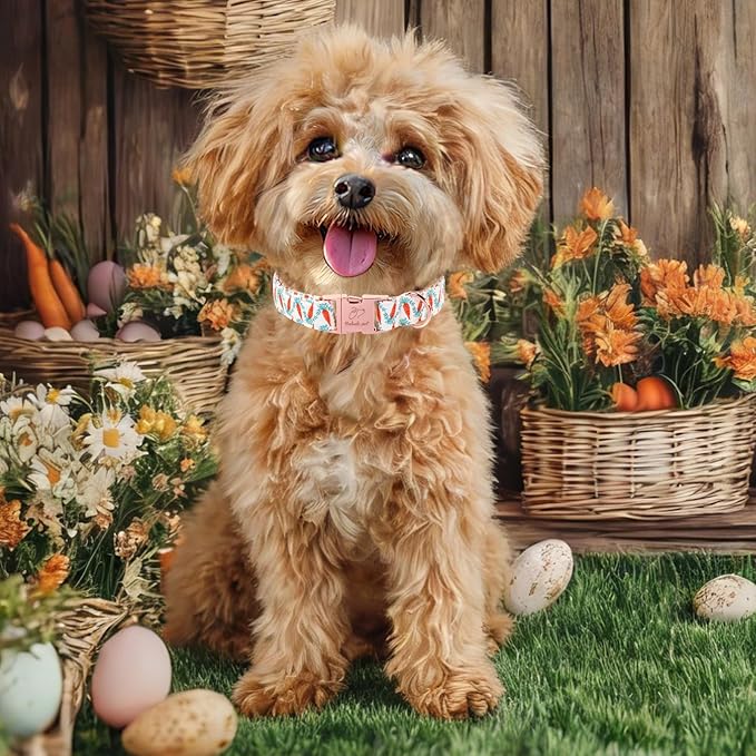 Easter Dog Collar, Cute Carrot Easter Collar for Boy Girl Dogs, Adjustable Heavy Duty Spring Holiday Dog Collars for Small Medium Large Dogs with Metal Buckle XS