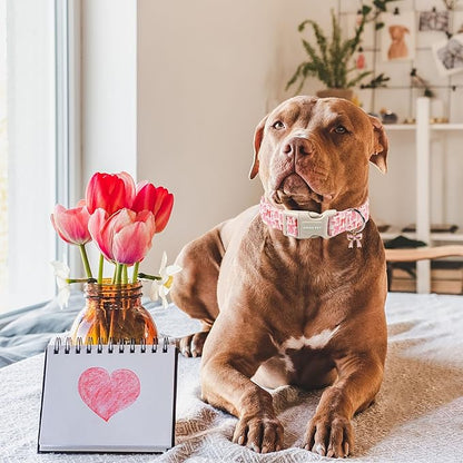 ARING PET Girl Dog Collar, Cute Spring Summer Pink Bow Puppy Pet Collars Necklace for Small Medium Large Female Dogs-S