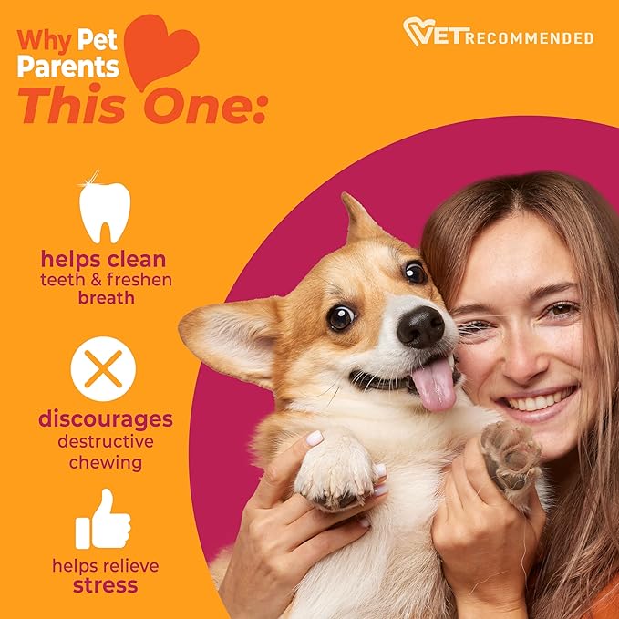 Nylabone Wishbone Strong Chew Toy for Dogs Made with Real Bacon, Durable Dog Chew Bones for Aggressive Chewers, Long-Lasting Flavor Keeps Dogs Busy, Small Dog Toys - Up to 25 lbs, 1 Count