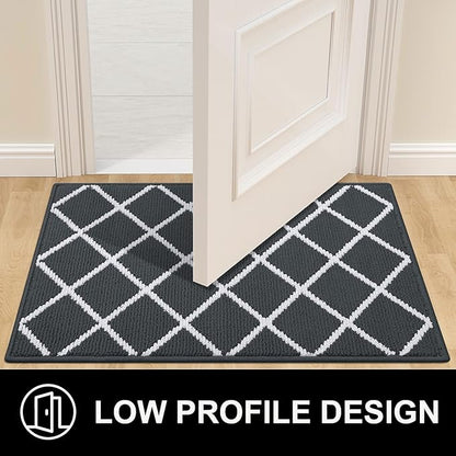Finchitty Indoor Door Mat, Dirt Resistant and Absorbent, Low-Profile, Non-Slip, Washable Inside Floor Mats for Front Door, Back, and Entrance, 40" x 32", Charcoal