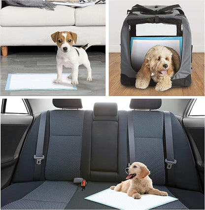 Dog Training Pads, Leak-Proof 6-Layer Puppy Potty Pads with Quick-Dry Surface - Small Size 13x18 Inch