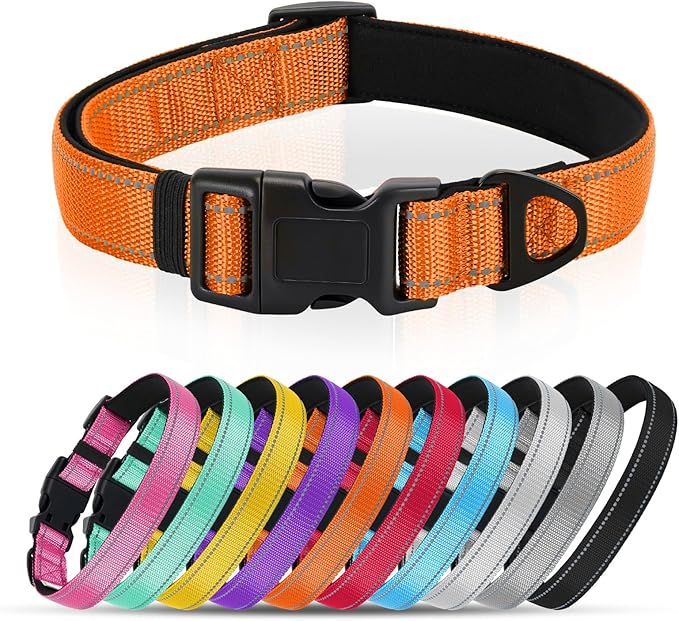 Reflective Dog Collar with Quick Release Buckle - Metal Ring - Adjustable Soft Neoprene Padded Basic Dog Collar for Small Medium Large Dogs (Orange, Medium :Width 1",Neck 13.8-19.6")