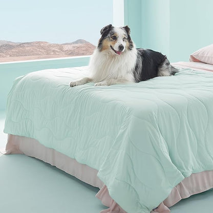 Bedsure Premium Cooling Dog Blankets for Bed - Q-MAX>0.5, Breathable Summer Washable Cold Pet Mat, Soft Durable Self Cooling Dog Mat for Hot Weather, Turquoise Green, 60x80
