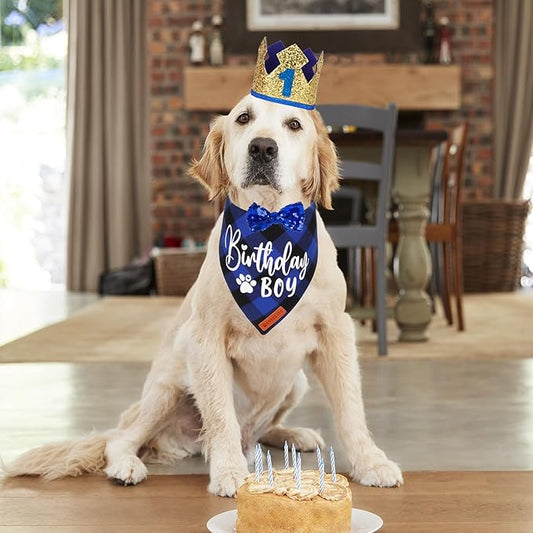 ADOGGYGO Dog Birthday Party Supplies, Blue Plaid Birthday Boy Dog Bandana, Golden Pet Party Hat with Numbers, Bowtie for Extra Large Pets (X-Large)
