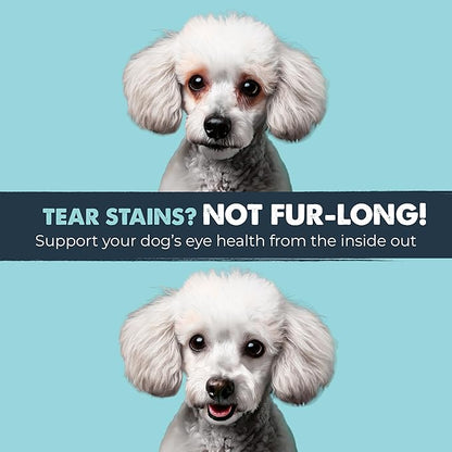 Mighty Paw Waggables Eyes (Made in USA) | Tear Stain Chews for Dogs. Vision and Tear Stain Support Supplements for Dogs. Lutein Supplement. Lubricates Eyes, Immune Support (120 Ct)