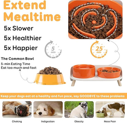 Elevated Slow Feeder Dog Bowls - Ceramic Food and Water Bowl Set with Stand - Raised Pet Dishes for Small and Medium Sized Dogs