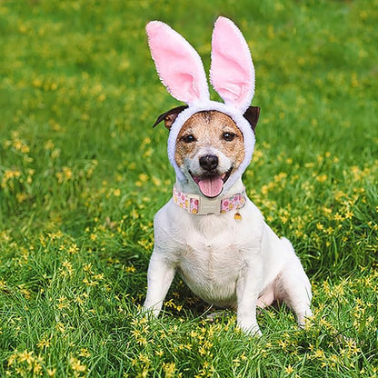 ARING PET Easter Dog Collar-Cute Adjustable Pink Chick Pet Collars Puppy Collar Gifts with Quick Release Buckle for Girl Boy Dogs-XS